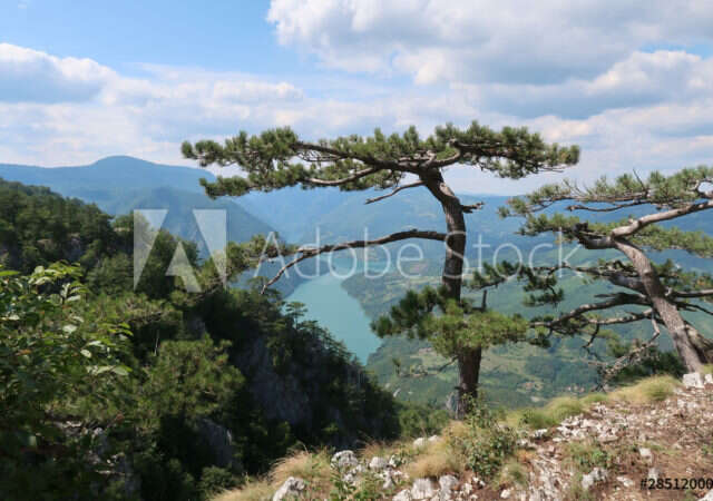 planine